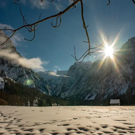 Naturparkresort Geoapartment Gams bei Hieflau Exteriér fotografie