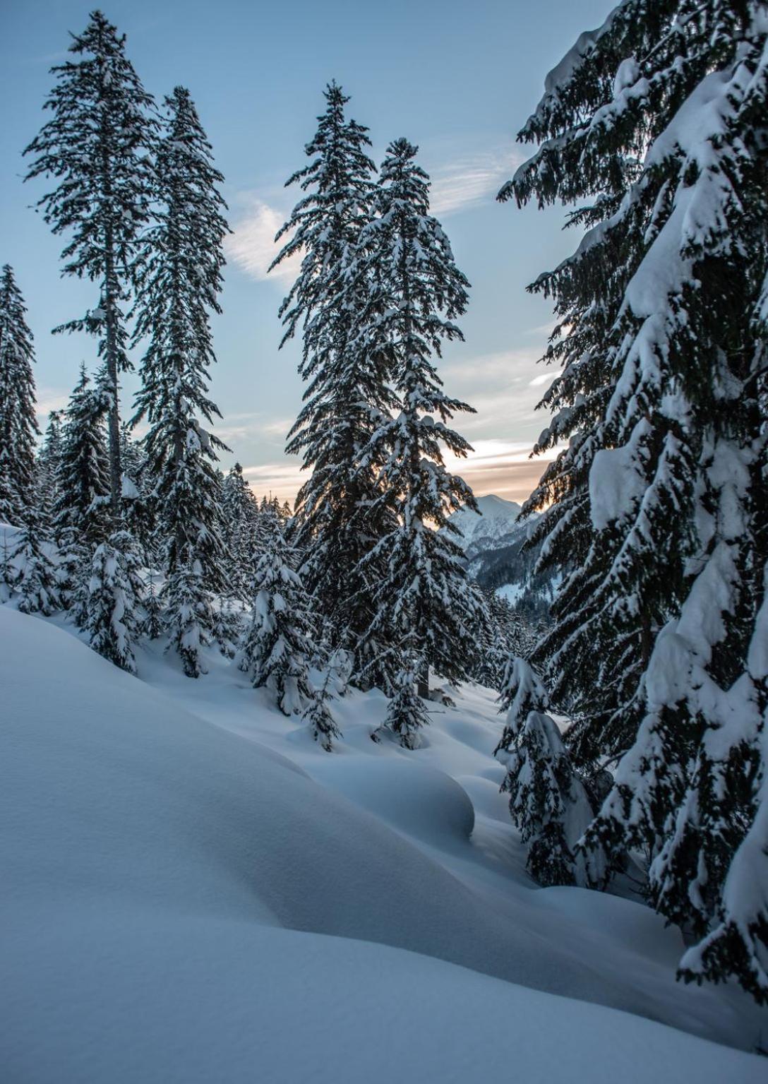 Naturparkresort Geoapartment Gams bei Hieflau