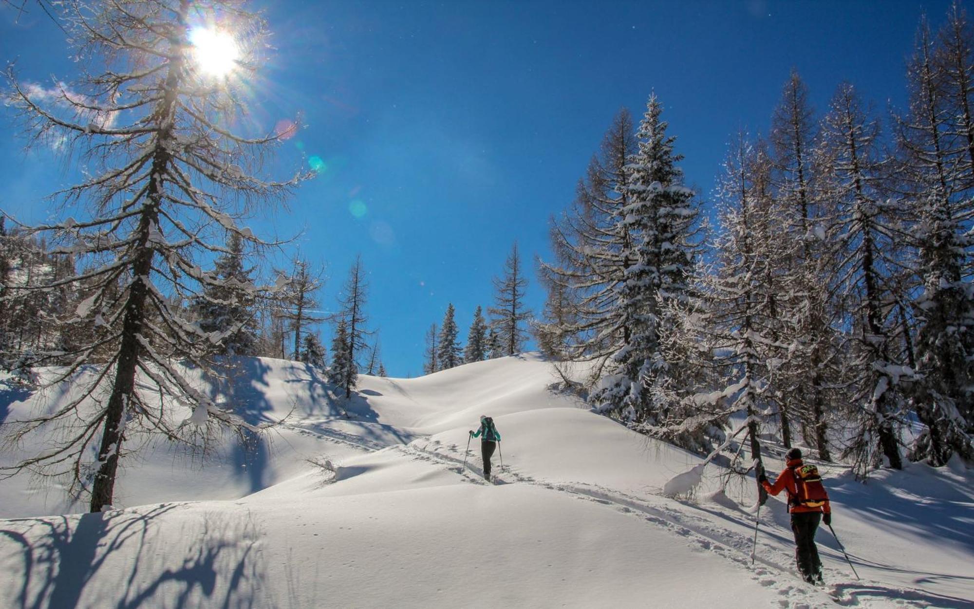 Apartmán Naturparkresort Geoapartment Gams bei Hieflau